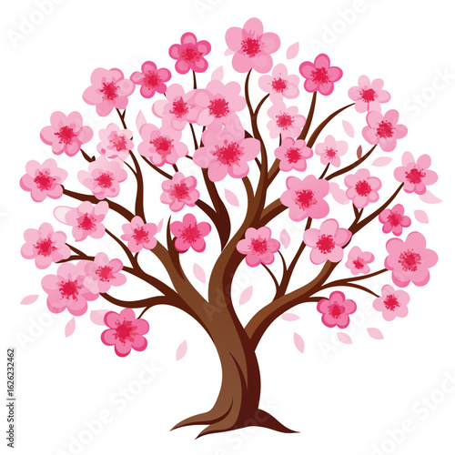 A blooming cherry blossom tree with delicate pink flowers, on a clean white background, a beautiful spring design.