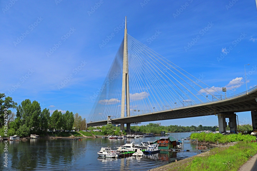 Obraz premium Modern cable-stayed bridge across the Sava in Belgrade