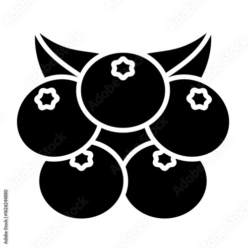 Berries Icon