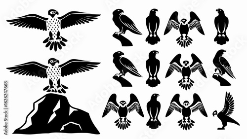 Collection of black and white falcon silhouettes in various poses including perched and flying designs shown
