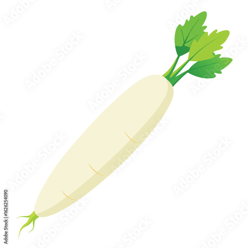 A long, slender daikon radish, its white skin pure and clean, isolated on a clean white background.