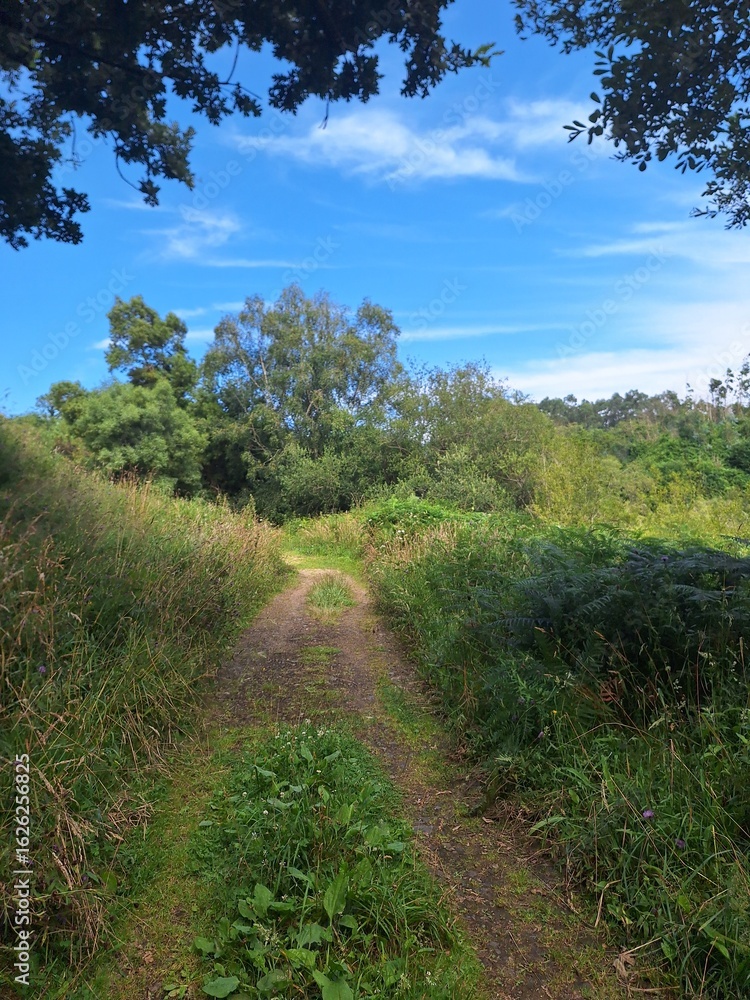 Obraz premium Camino