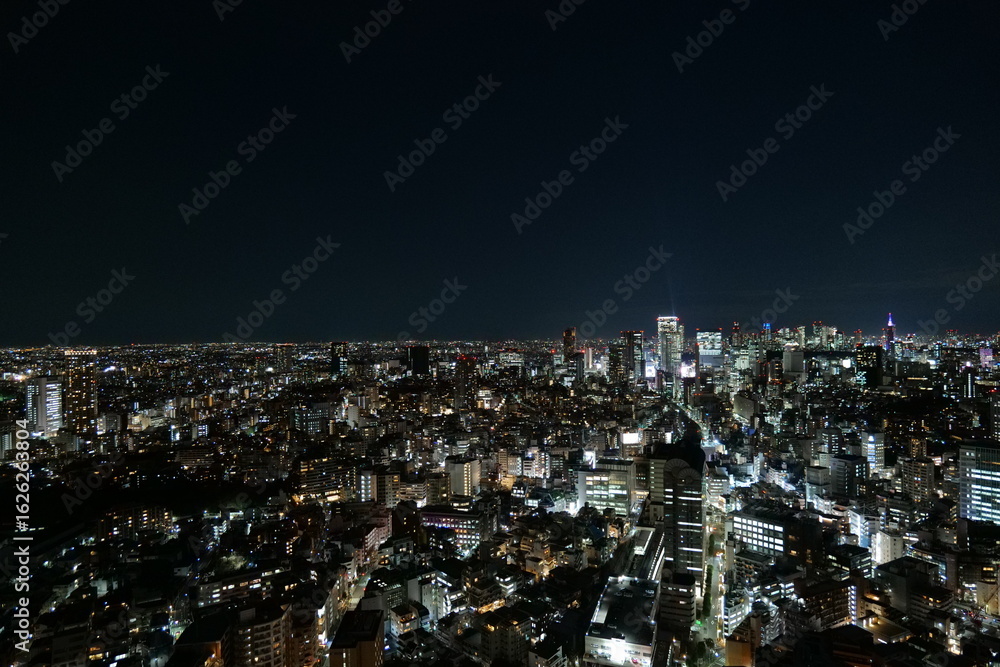 Obraz premium 高層ビルから見る東京の夜景