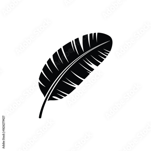 Banana leaf vector silhouette