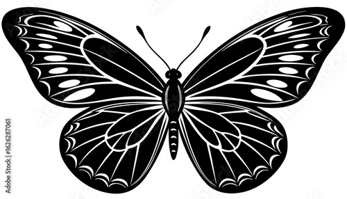 Minimal black silhouette of butterfly, wings spread, vector style