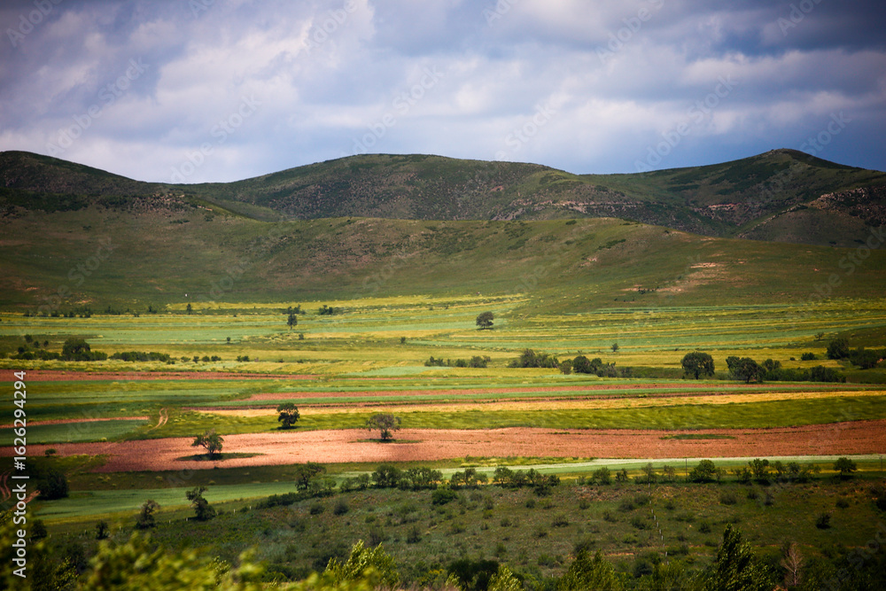 Fototapeta premium A sunny summer day on the prairie of Inner Mongolia, China