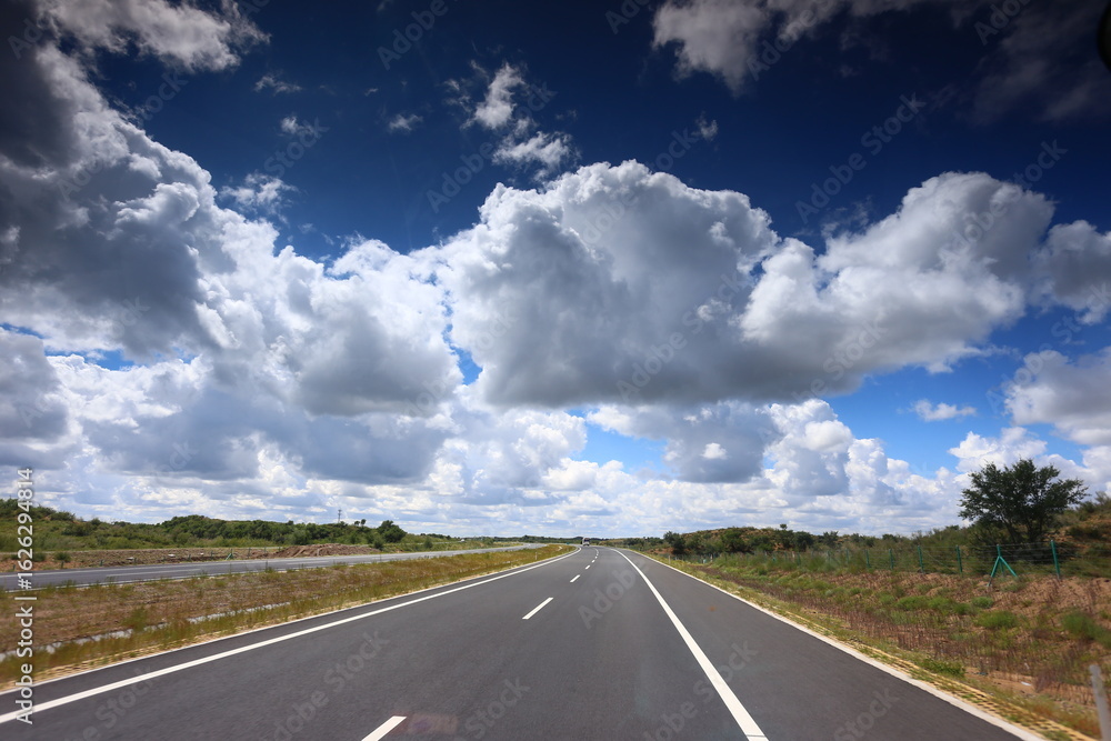 Fototapeta premium A sunny summer day on the prairie of Inner Mongolia, China