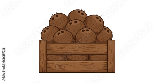 Pile of Ripe Brown Coconuts in Rustic Wooden Crate