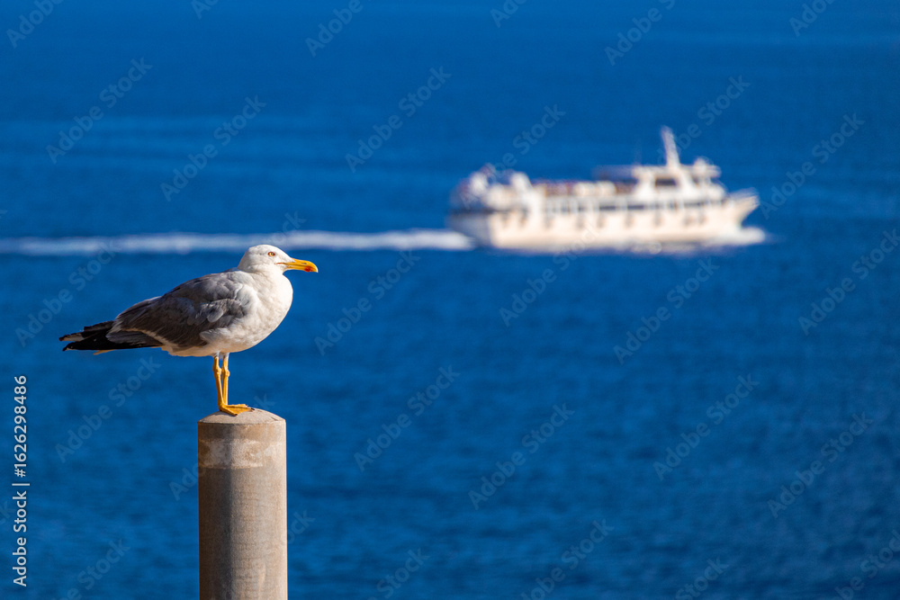 Obraz premium A photo of a seagul sitting on a post overlooking the ocean