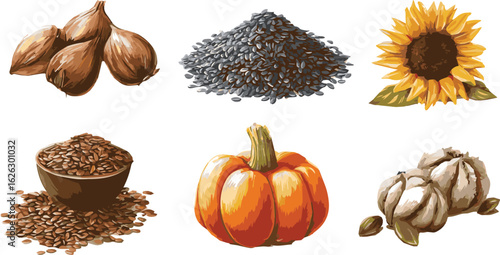 Autumn still life with pumpkins squash and seasonal fruits and leaves isolated on white background