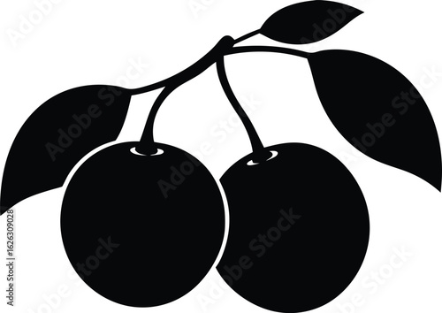  two plums with a leaf on a branch silhouette vector