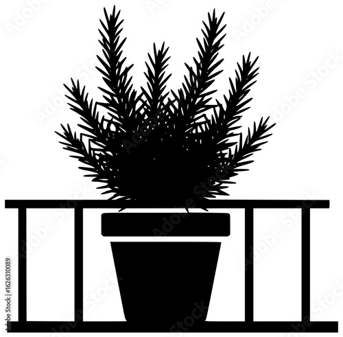 Rosemary plant in a garden with blooming flowers near a window on a table in a pot surrounded by herbs in a kitchen on a balcony with a trellis in a greenhouse