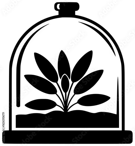 Sage plant in a garden with plant in a pot on a windowsill in kitchen