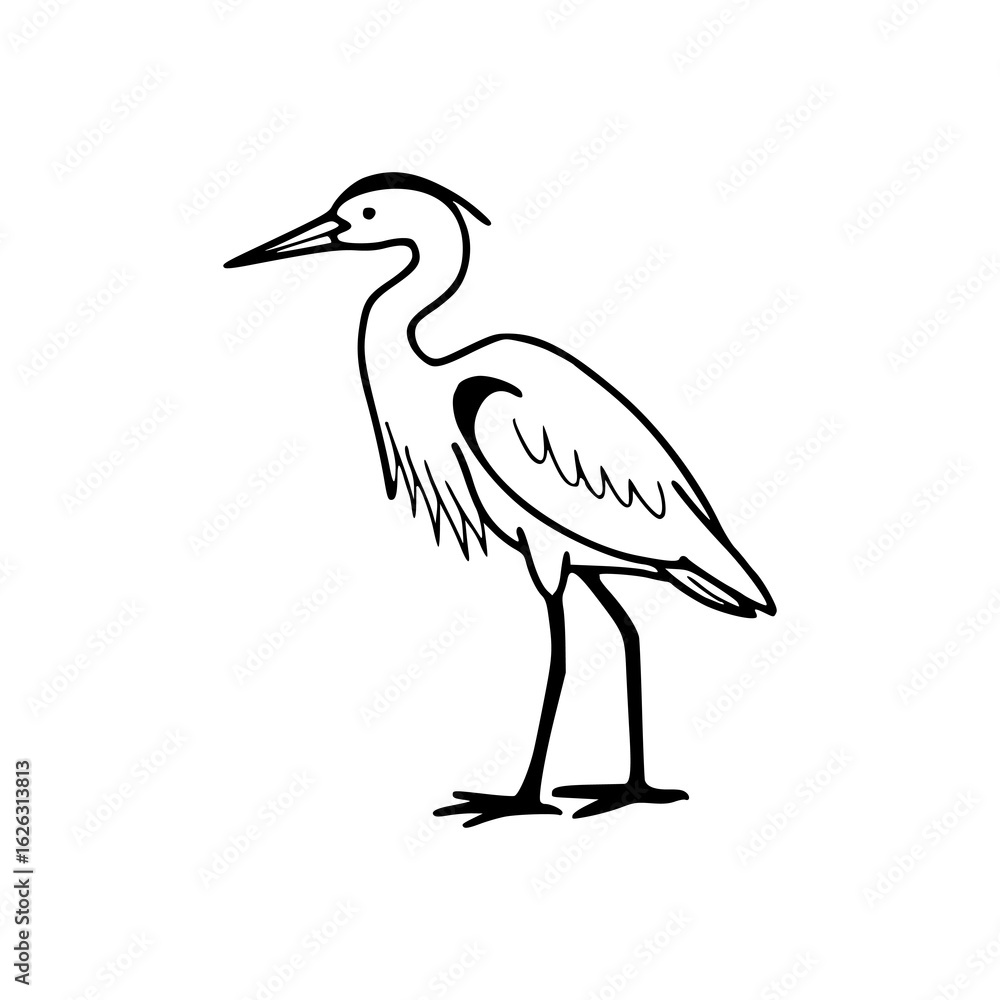 Fototapeta premium stylized hand-drawn egret graphic