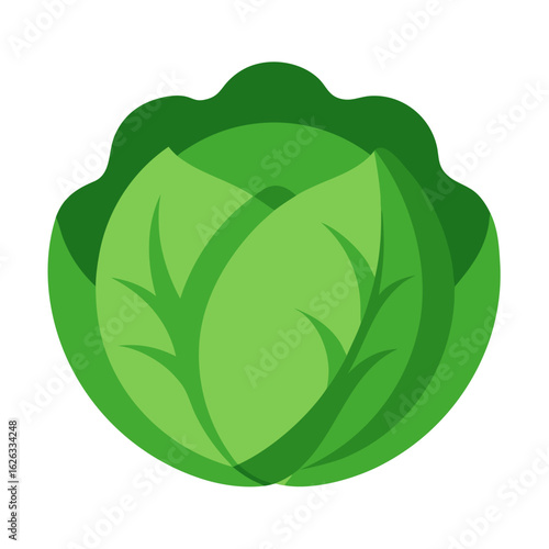 A stylized flat illustration of a vibrant green cabbage with layered leaves on a black background