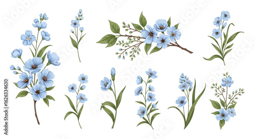 Vector Floral Botanical SVG Illustration Collection with Blue Flowers and Green Leaves in Minimalist Flat Design