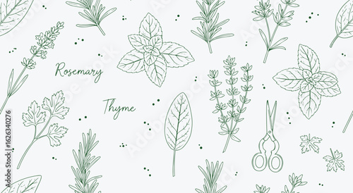 Culinary Herbs Seamless Pattern Vector. Green Hand Drawn Line Art Background of Rosemary, Thyme, and Mint. Botanical Sketch Illustration for Fabric, Print, and Kitchen Menu Design.