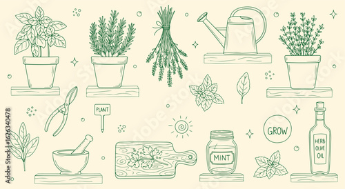 Culinary Herbs Vector Illustration Set. Green Hand Drawn Line Art of Potted Herbs, a Mortar and Pestle, and Kitchen Tools for Cooking, Menu, and Garden Design. Botanical Icons. Herb.
