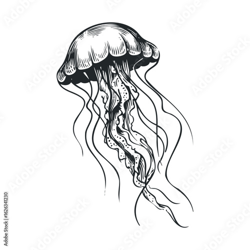Elegant jellyfish illustration capturing ocean movement