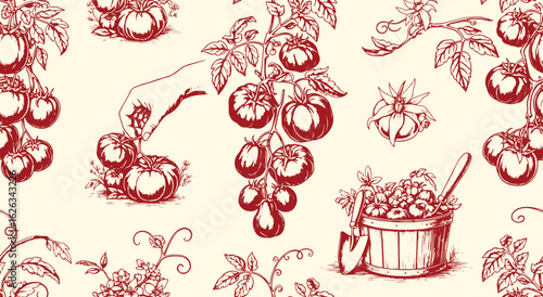 Toile de Jouy Tomato Harvest Seamless Pattern Vector. Red Vintage Engraving Style Background of a Garden and Picking Tomatoes for Fabric, Print, and Wallpaper. French Countryside Pattern.