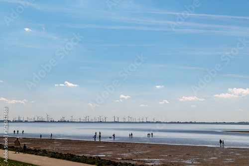 People wading at the marshland at the North Sea, Germany, under blue sky and wind turbines in the background