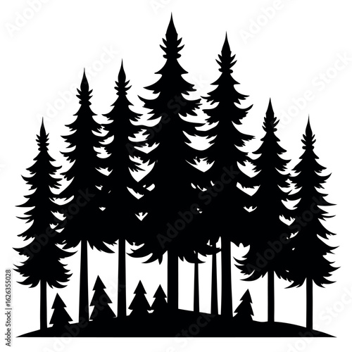 Realistic pine forest silhouette with staggered trees isolated on white background