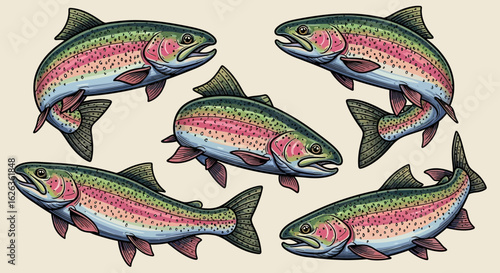 Vector Realistic Fish SVG Illustration with Vibrant Colors in Natural Style for Digital Design