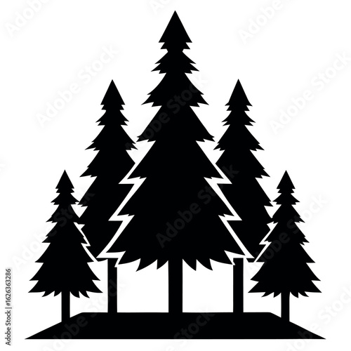 Dense pine tree silhouette scene with tallest tree isolated on white background