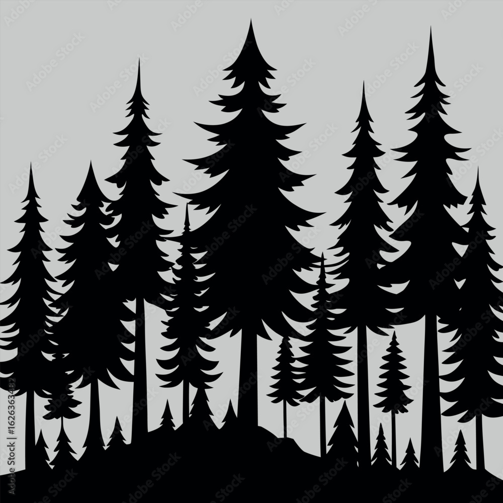 Obraz premium Pine forest silhouette with randomized height pattern isolated on white background