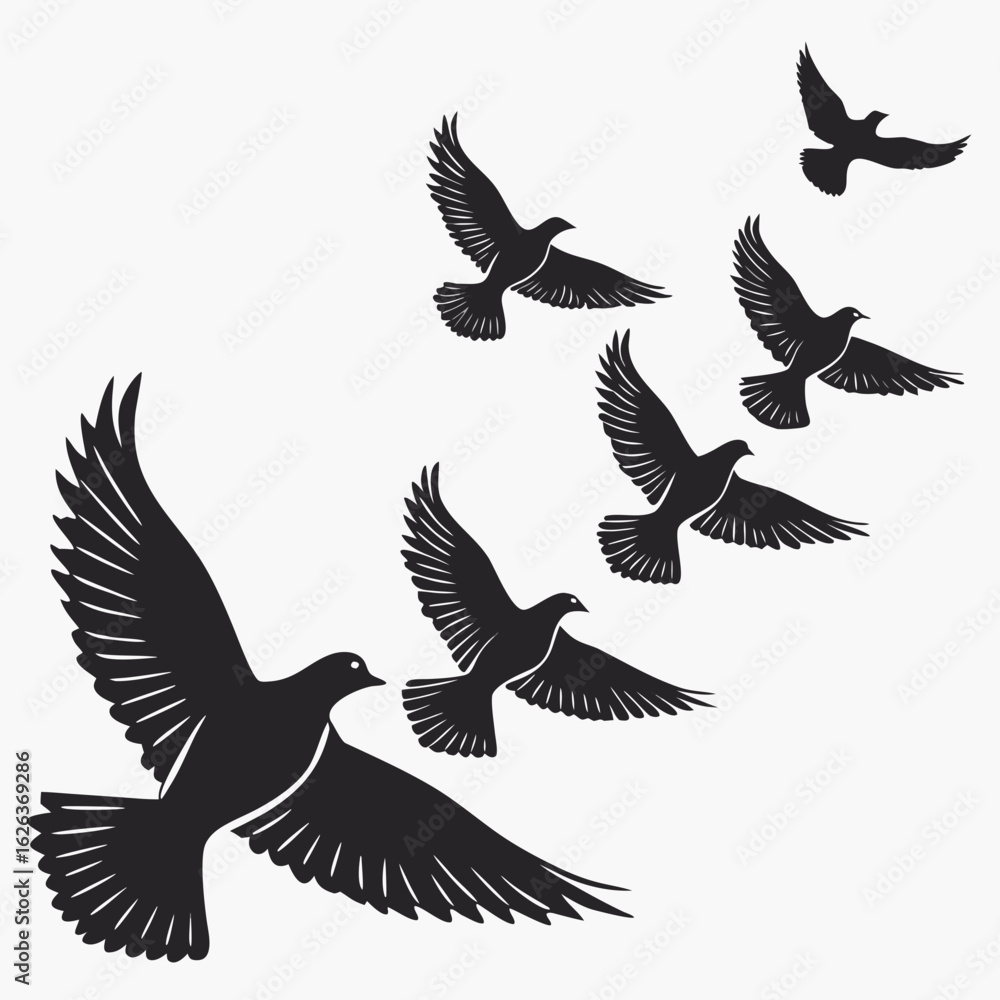 Obraz premium Flock Of Pigeons In Mid Flight Peaceful Silhouet