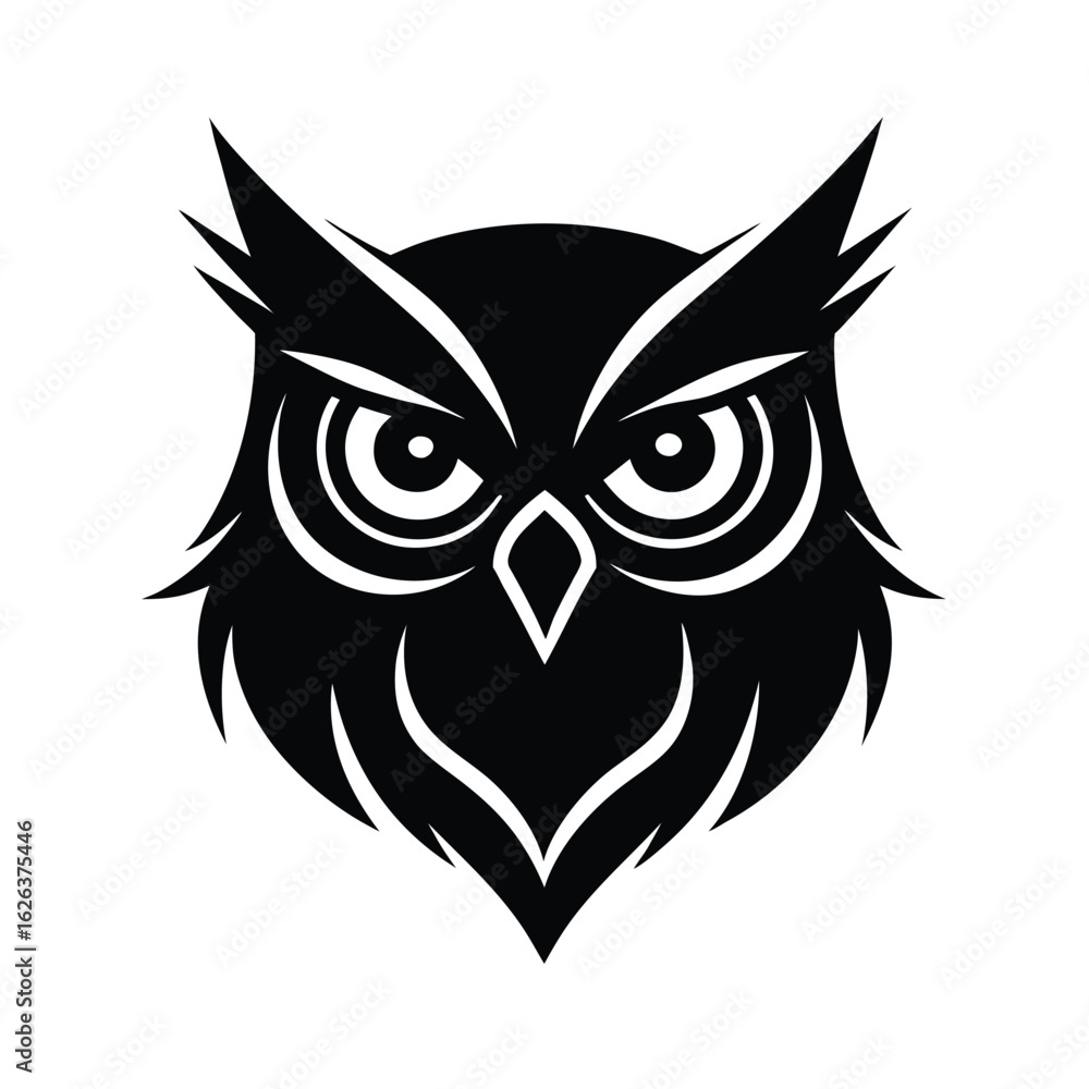 owl on white background owl on white background