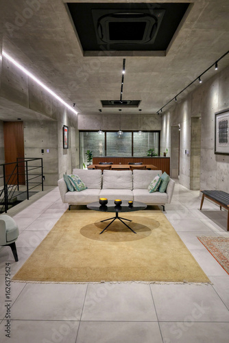 Modern concrete architect-designed house in Motobu district, Okinawa, Japan, with minimalist structure and interiors, with a newly planted tropical garden