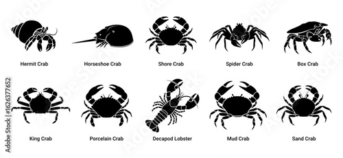 Collection of silhouettes of various crustaceans and marine life on a white background