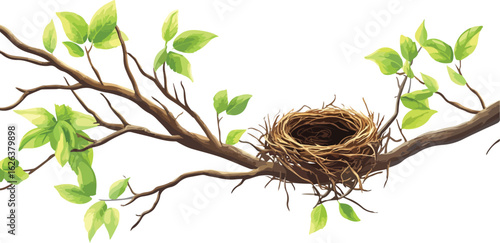 Empty bird s nest resting on a delicate tree branch with vibrant green spring leaves