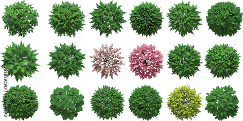 Collection of top view green and blooming trees, isolated tree elements for urban planning, landscape architecture, garden design, and visual projects