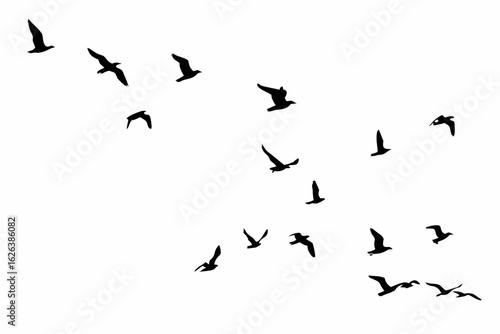 A flock of seagulls in silhouette flying across a vast white sky