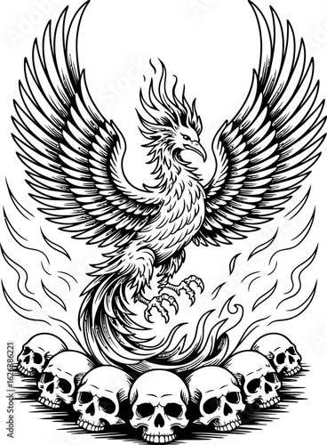 Phoenix Rising from Skulls Illustration bird fire