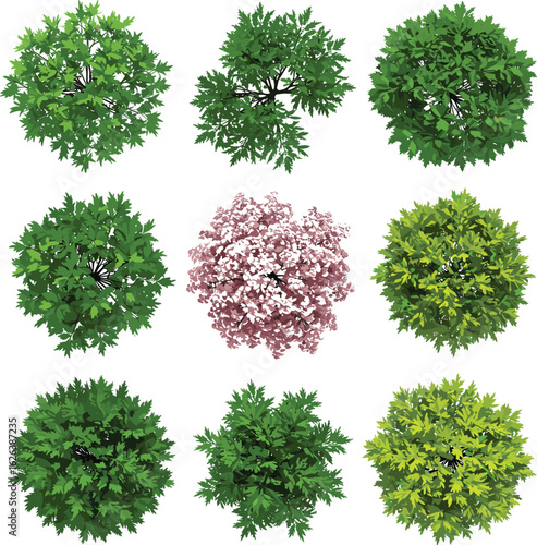 Top view tree bundle featuring lush green and pink blossom canopies for garden design, architectural planning, and nature scenes
