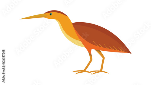 Bittern bird in natural stance with stylized plumage great for wetland wildlife projects Vector illustration.