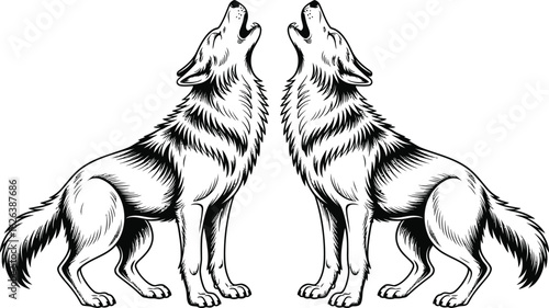Two Wolves Howling in Harmony on White Background animals