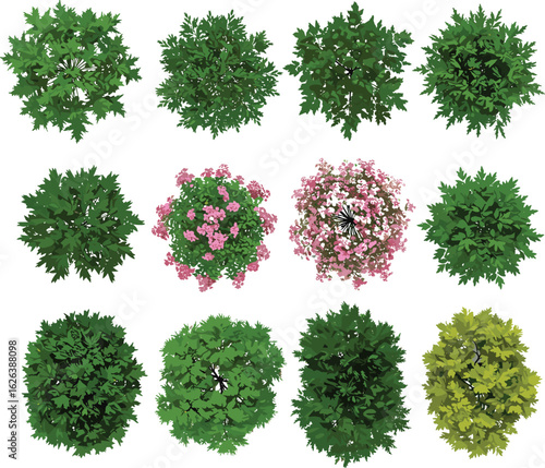 Top-down view of various green and flowering trees with diverse foliage shapes and colors, ideal for landscaping and design projects