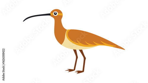 Curlew bird with long beak and delicate stance ideal for marshland and birdwatching visuals Vector illustration.