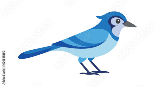 Jay bird with bright plumage and attentive posture ideal for forest birds and backyard wildlife Vector illustration.
