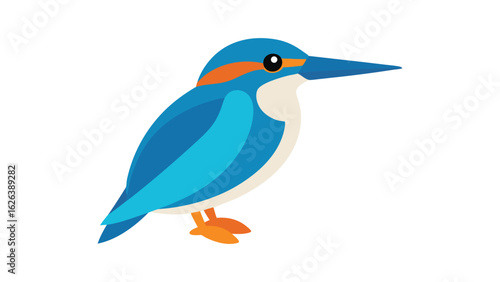 Kingfisher bird with sharp beak and vivid color ideal for riverside and aquatic hunting bird scenes Vector illustration.