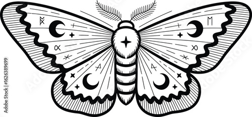Moth with celestial symbols and runes butterfly insect