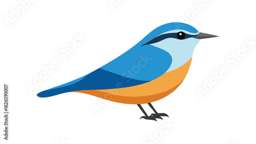 Nuthatch bird clinging to tree bark ideal for woodland creatures and vertical climbing bird art Vector illustration.