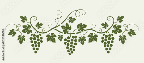 Black silhouette of grapevines with birds grapes leaves