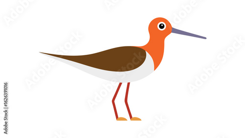 Sandpiper bird in wading pose along shoreline ideal for beach birds and tidal zone art Vector illustration.