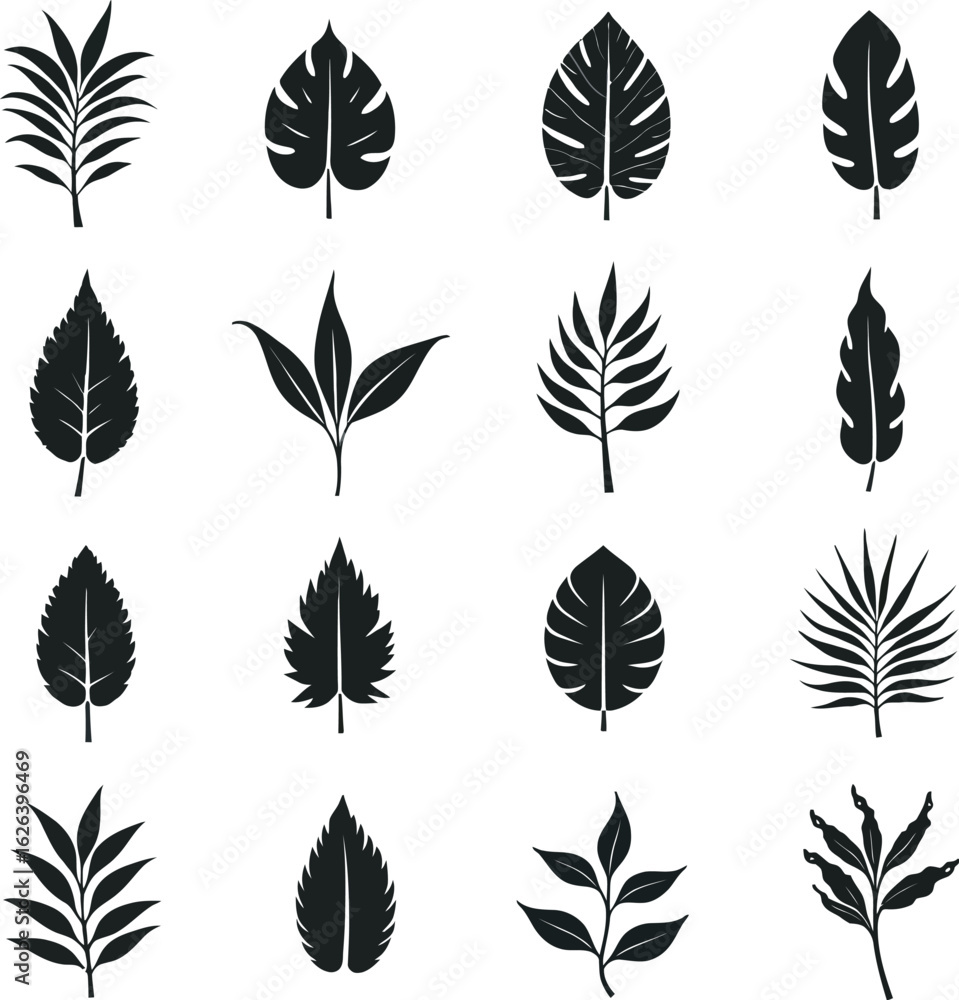 Fototapeta premium Web, showcasing various leaf shapes including monstera, fern, banana leaf, and stylized florals