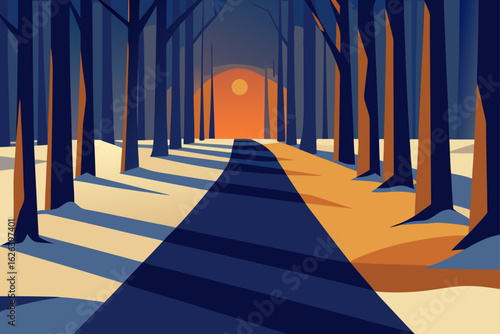 winter forest path with low sun casting soft long shadows